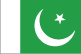 巴基斯坦旗子