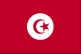 突尼斯旗子